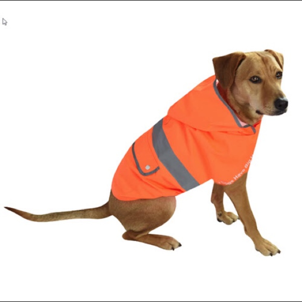 Big Dog Raincoat